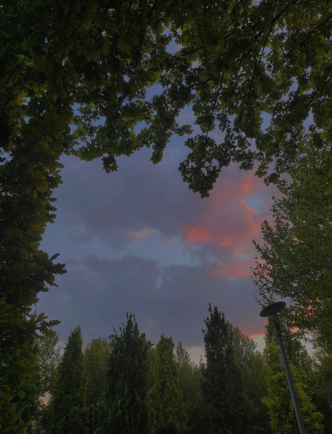 Yıllardır Sandıkta Tuttuğum O Şiir