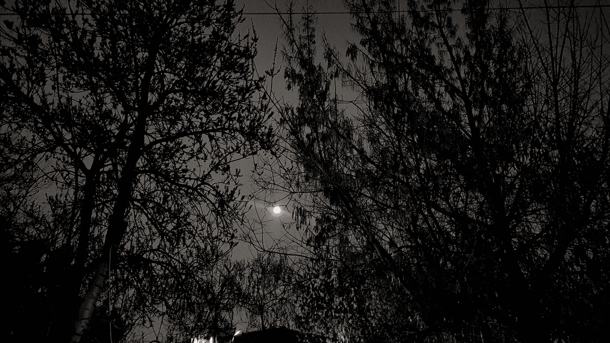 Doğru Zaman Diyememek