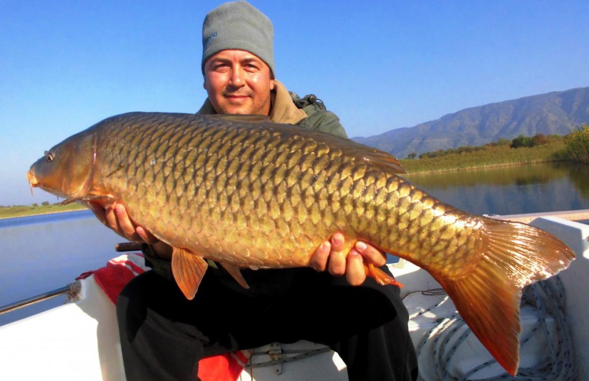 Balık Avı: Teknikler ve Malzemeler