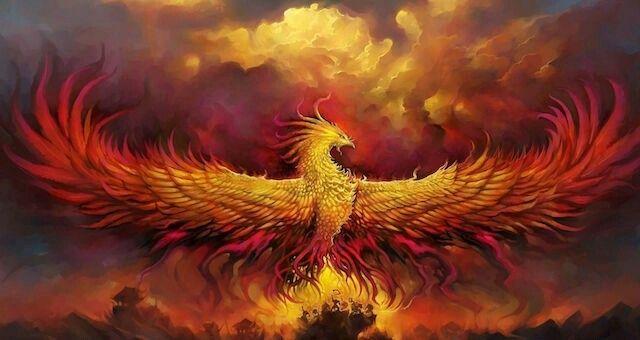 Küllerinden Doğan Efsânevî Kuş: "Phoenix"