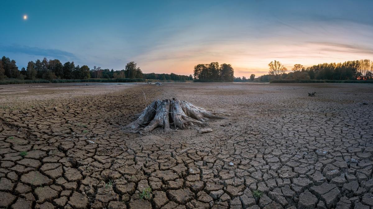 El Nino ve İklim Değişikliğinin Tarımsal Üretim ve Gıda Güvenliği Üzerindeki Etkileri