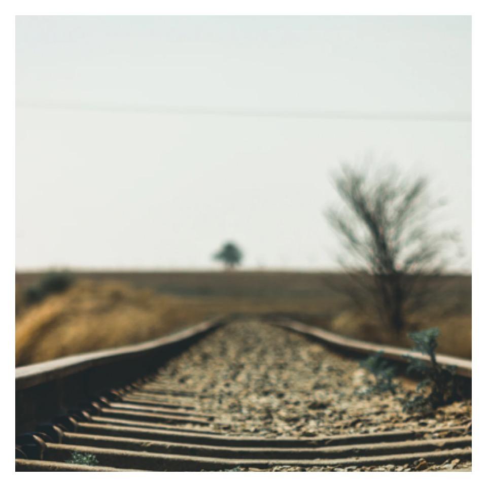 Birgül Oğuz - İstasyon