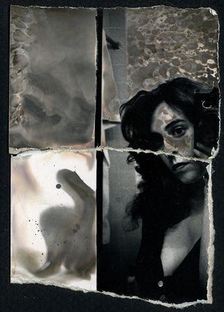 Madness Lensinden: Lauren E. Simonutti