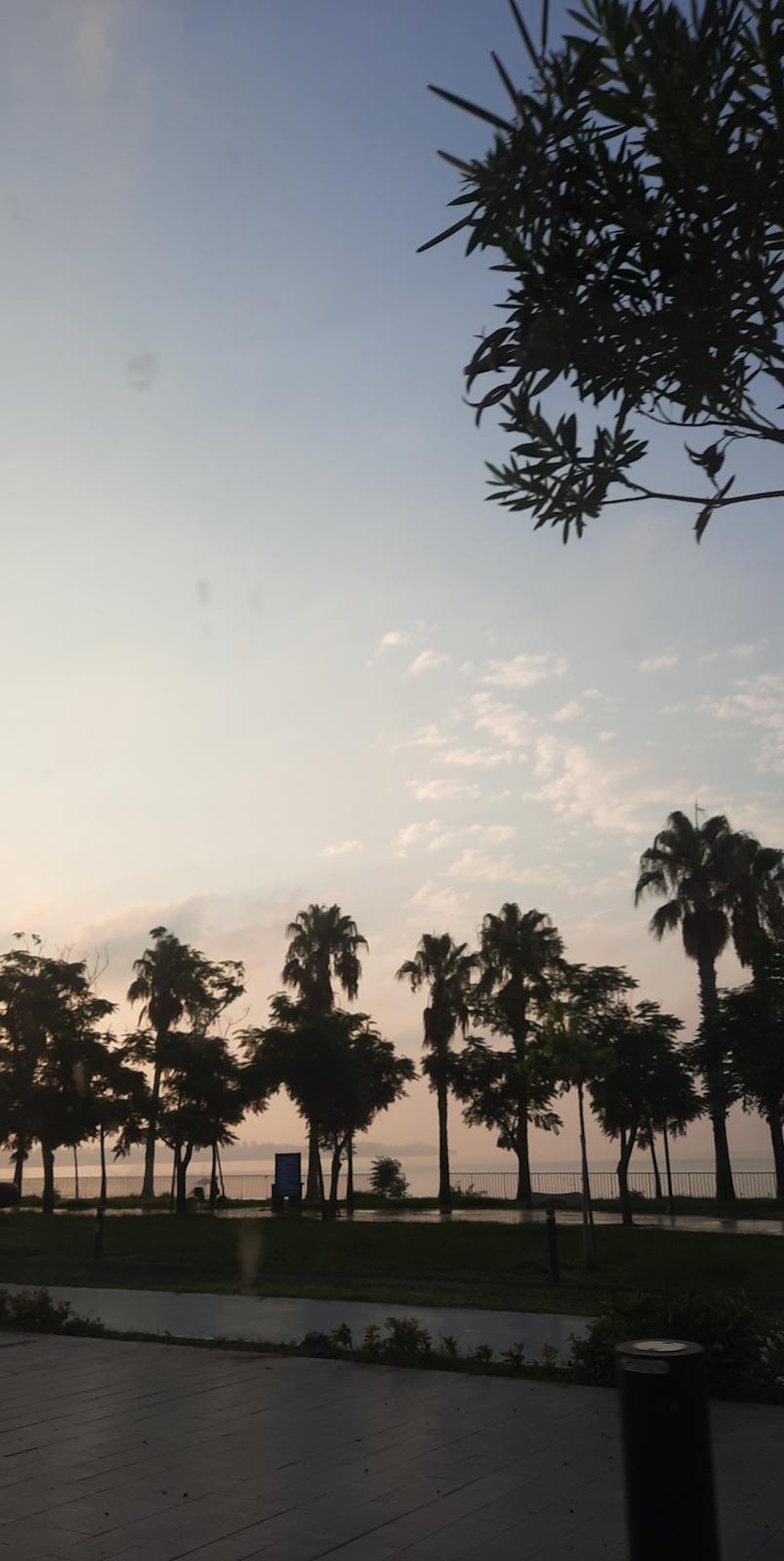 Sabit Alışkanlıklar Diyarı