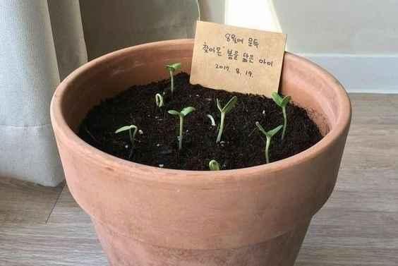 Zorluklar Işığımızı Parlatır