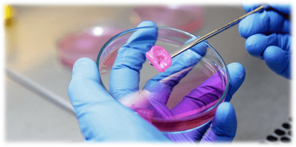 Doku Mühendisliği: Geleceğin Tıbbını İnşa Etmek