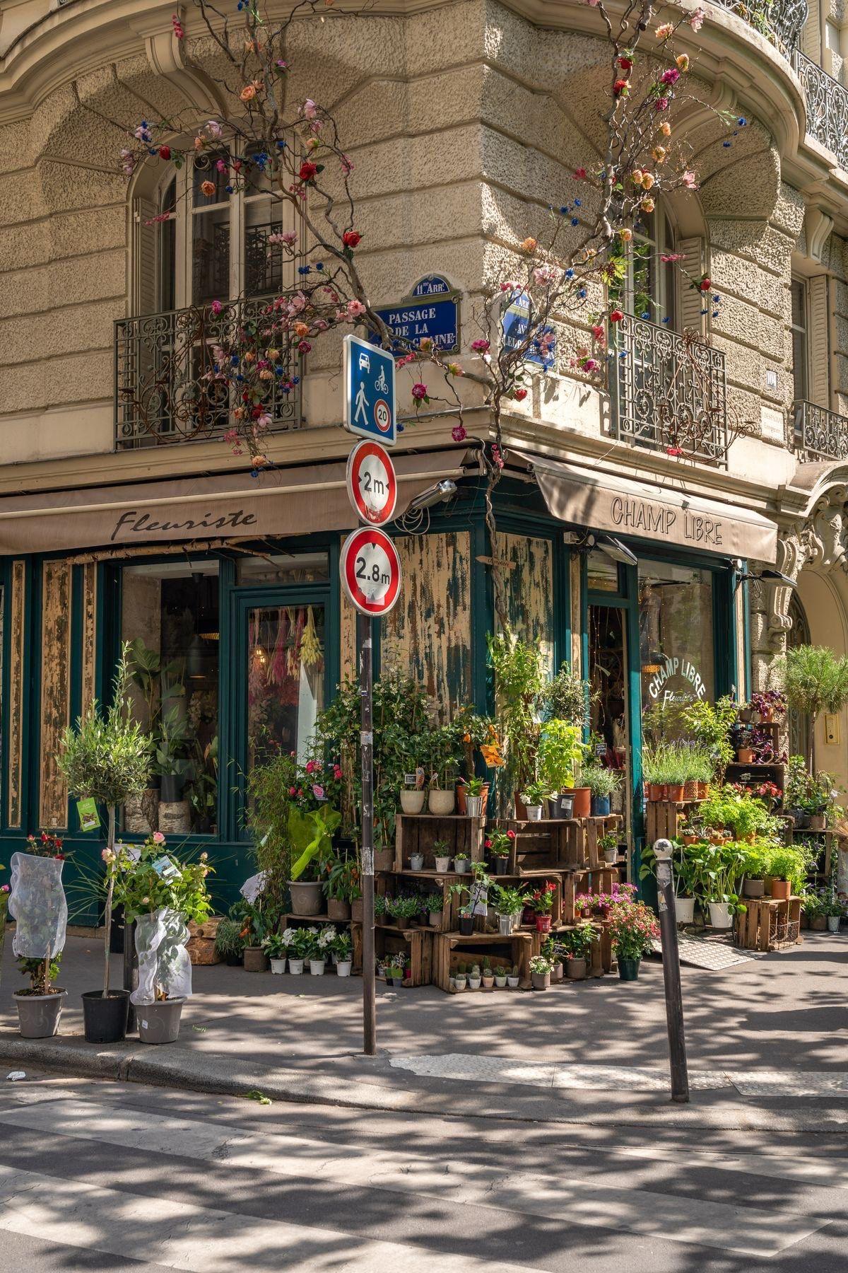 Evde Kolayca Bakabileceğiniz Çiçeklerden Birkaçı