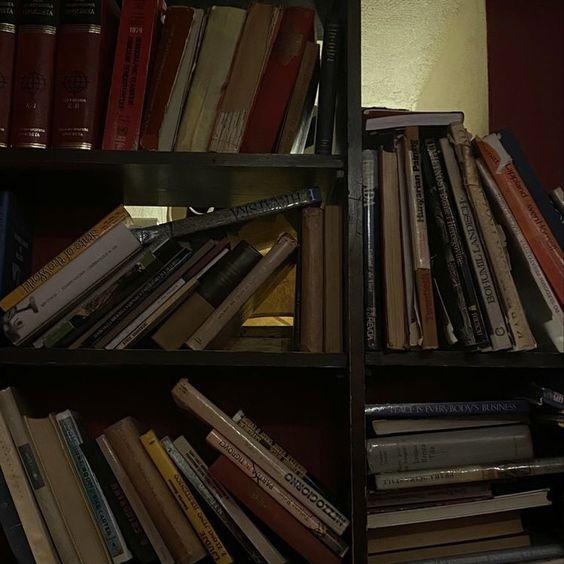 Sorgulayan Oluşumunun Yansımaları: II. Meşrutiyet Dönemi Yazının Yükselen Roman Anlayışları Çerçevesindeki Duruşu