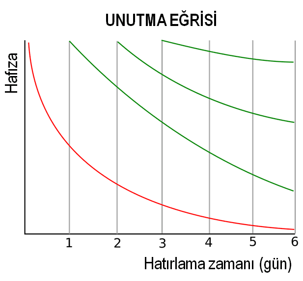 Ebbinghaus'un Unutma Eğrisi: Bilgiyi Kalıcı Hale Getirmenin Anahtarı