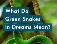 Rüyada Yeşil Yılan Görmek Ve Isırılmak: Anlamı Ve Yorumu