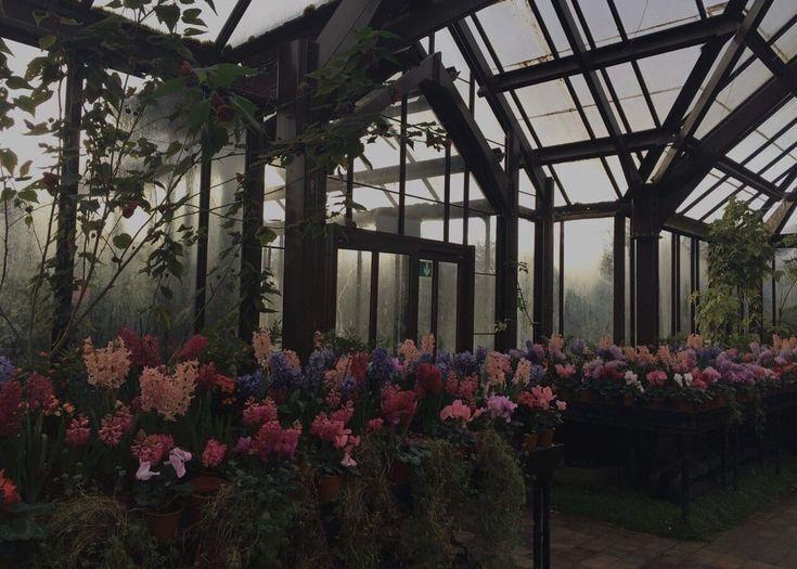 Bir Ömürde Kaç Mevsim Var?