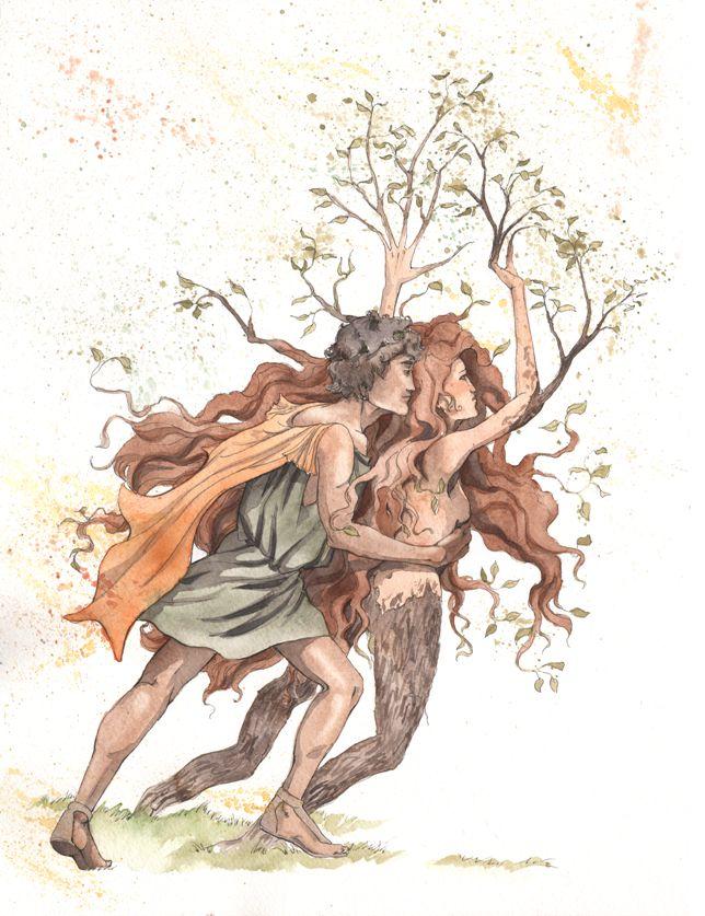 Flower Myths: The Creation of Daphne