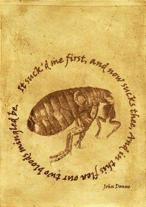 Beyond the Physical: The World of Metaphysical Poetry