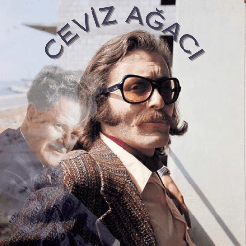 Ceviz Ağacı'nın Hikayesi