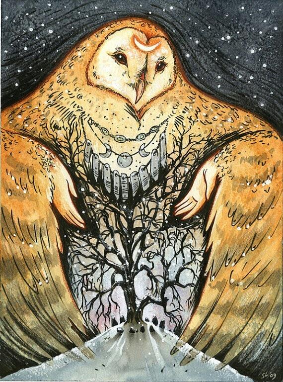 Baykuşlar Neden Bilgelikle İlişkilendirilir?