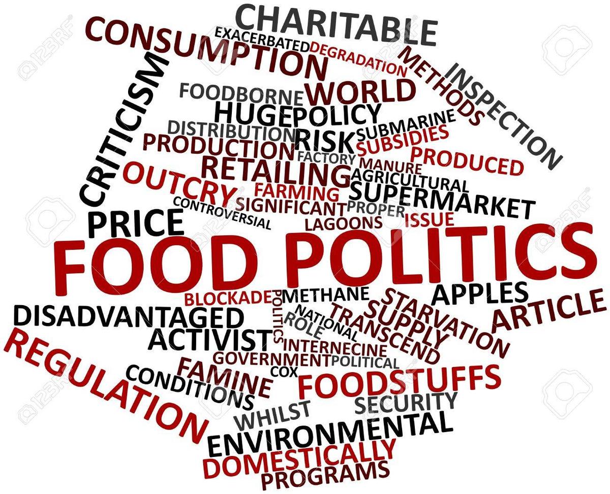 Food, Politics and Society