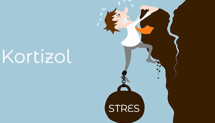 Stres Hormonu: Kortizol