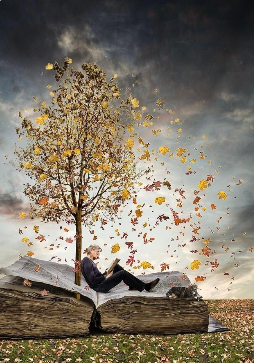 Doğa ve Aşkın Büyüsünde: Ümit Yaşar Oğuzcan'ın “Dağlarda Kalan” Şiirine Bir Bakış