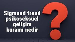 Freud - Psikoseksüel Gelişim Evreleri