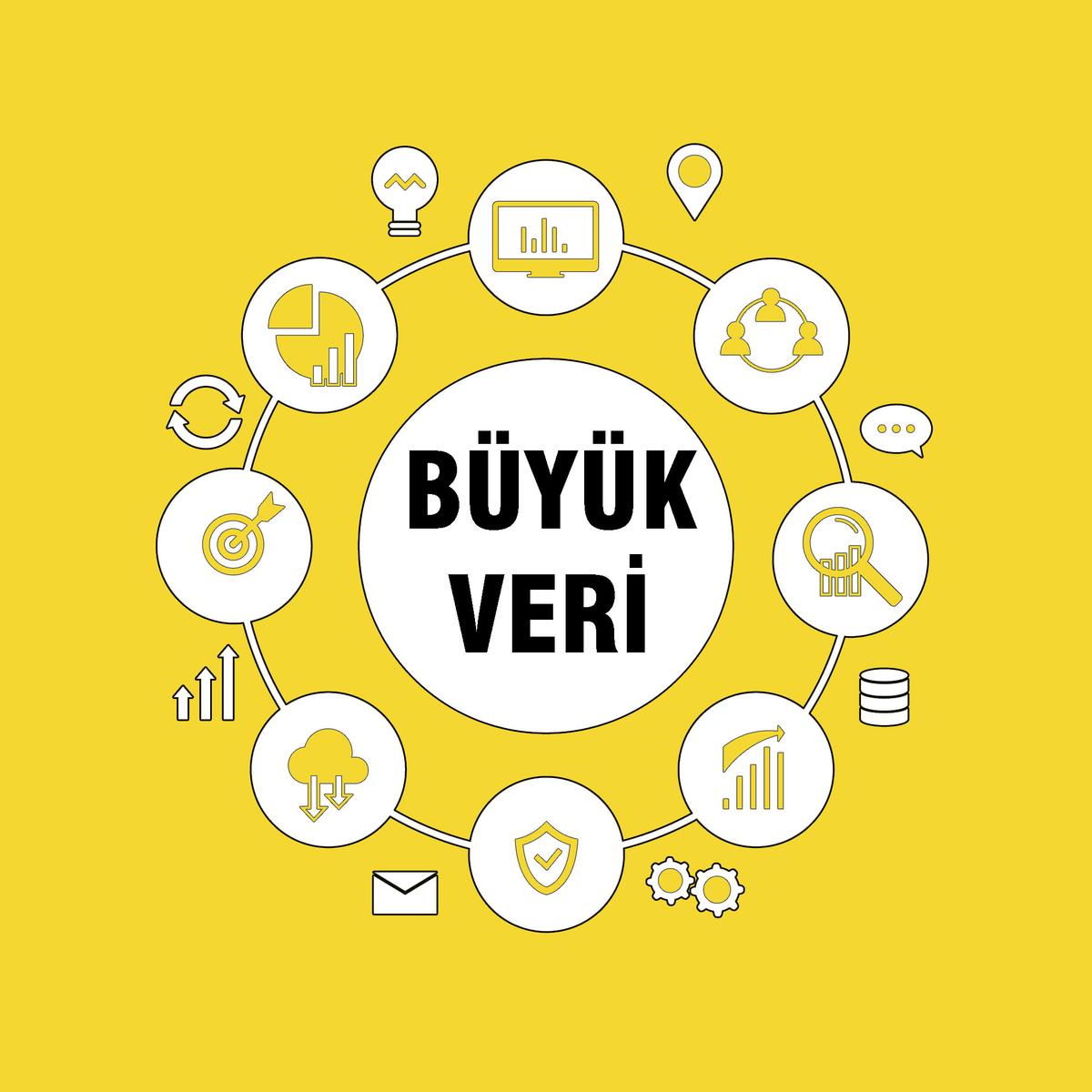 Büyük Verinin Enformasyon Ve Yönetim İlişkisi