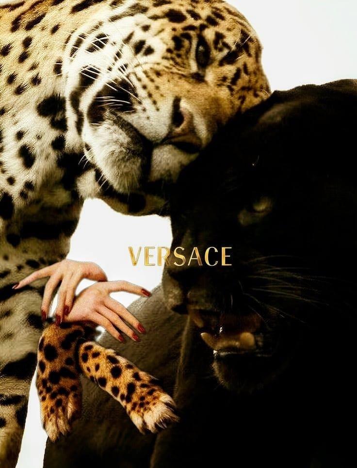 Versace: Moda İmparatorluğunun Doğuşu ve Dramatik Yükselişi