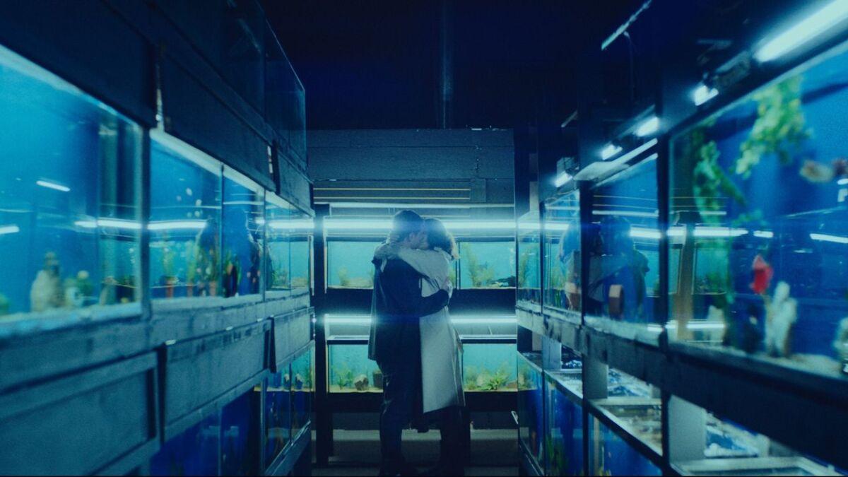 Little Fish (2020) and Memory