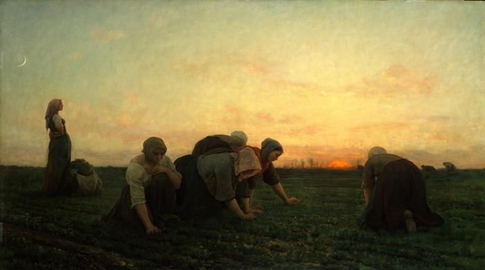 Naturalism in Literature