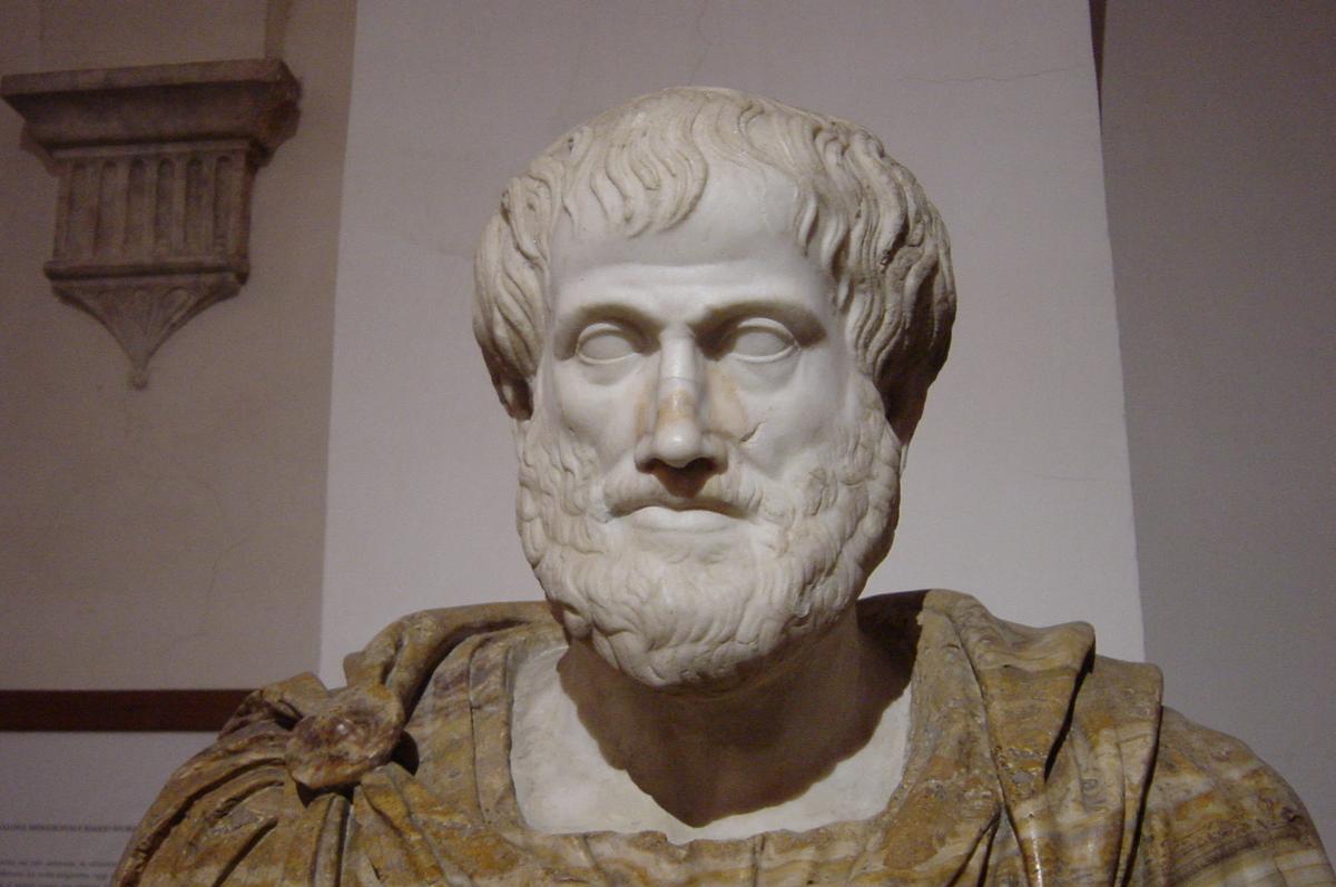 Aristotle's Tragedy Principles
