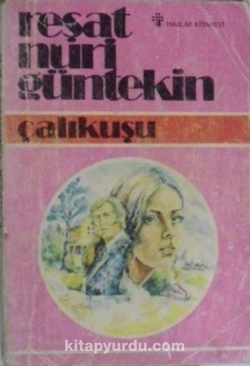 Çalıkuşu Romanındaki Feride Karakterinin Analizi