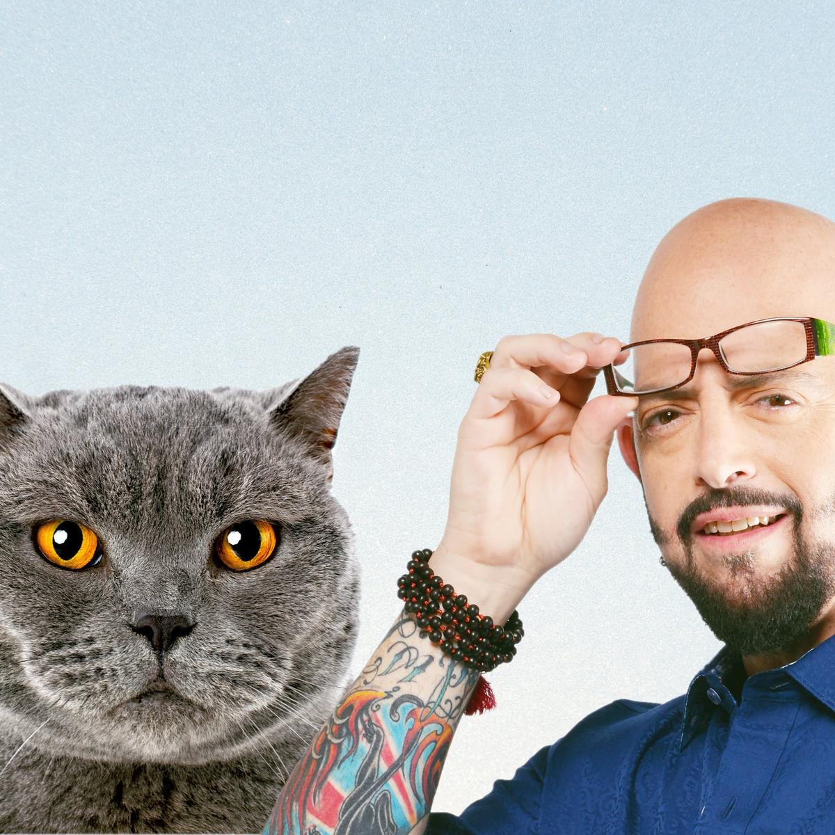 Kedilere Fısıldayan Adam Jackson Galaxy!