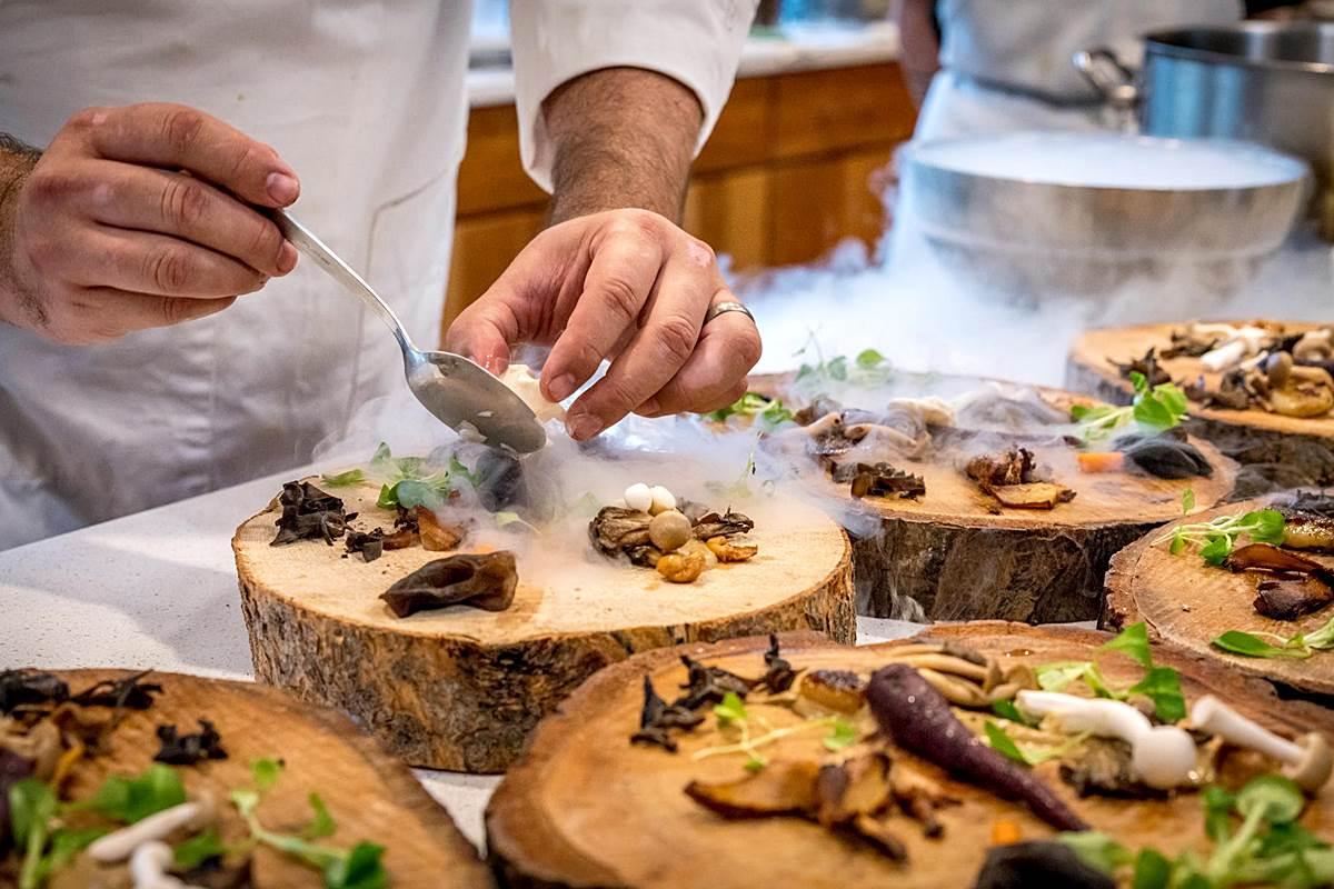 Gastronomi ve Mutfak Sanatları Okumak