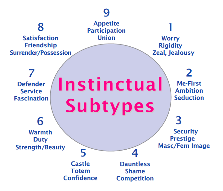 Enneagram: İçgüdüsel Alt Tipler