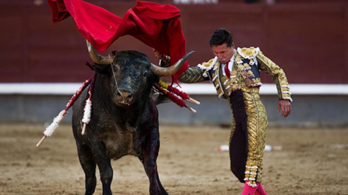 BOĞA GÜREŞLERİ KÜLTÜREL MİRAS OLABİLİR Mİ?