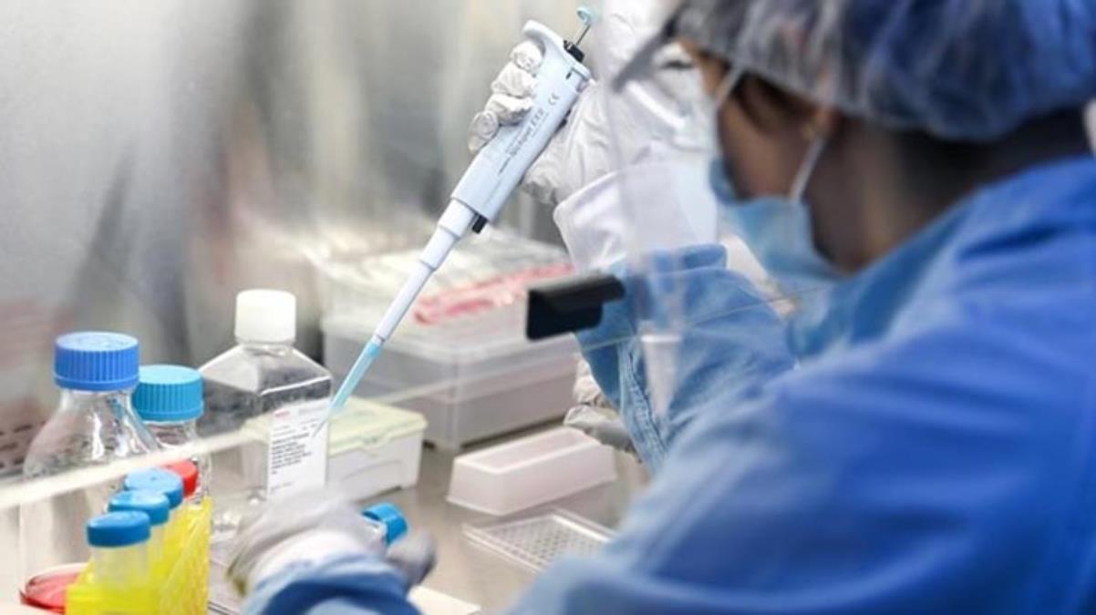 DSÖ'den Omicron Açıklaması: Çok büyük risk