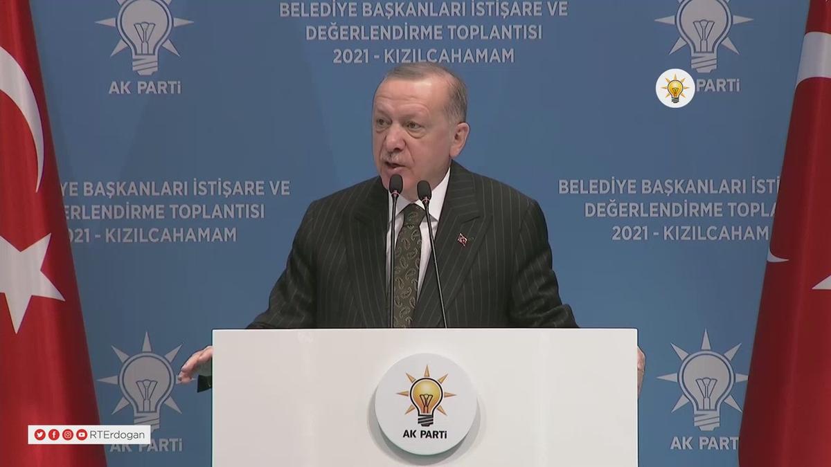 Cumhurbaşkanı Erdoğan'dan Belediyelere Sokak Hayvanları Uyarısı