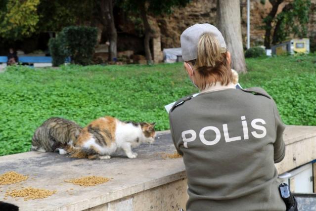 Van'da Polislerin 'Kedi Besleme Etkinliği'