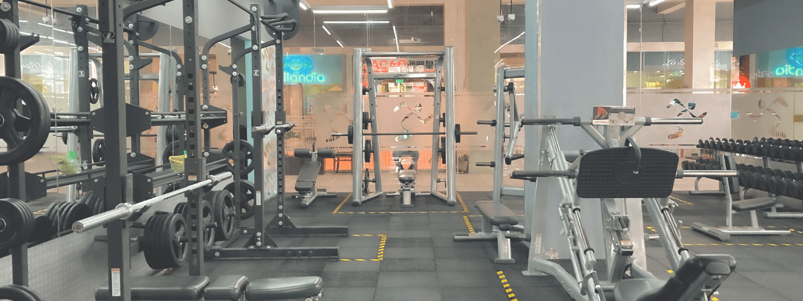 The Advantages of a Gym Membership