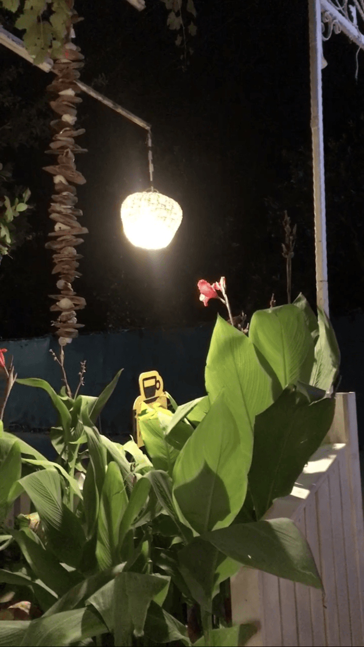 "Kişi sever çünkü bunu ister"