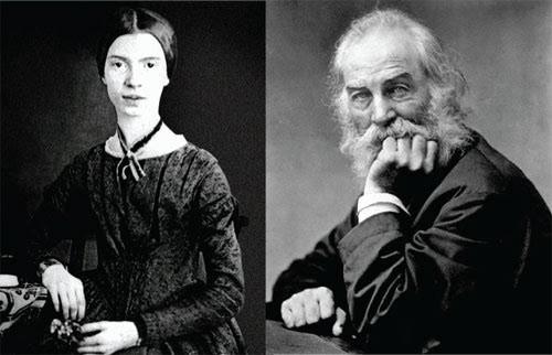 The Difference between Dickinson and Whitman as Contemporary Poets