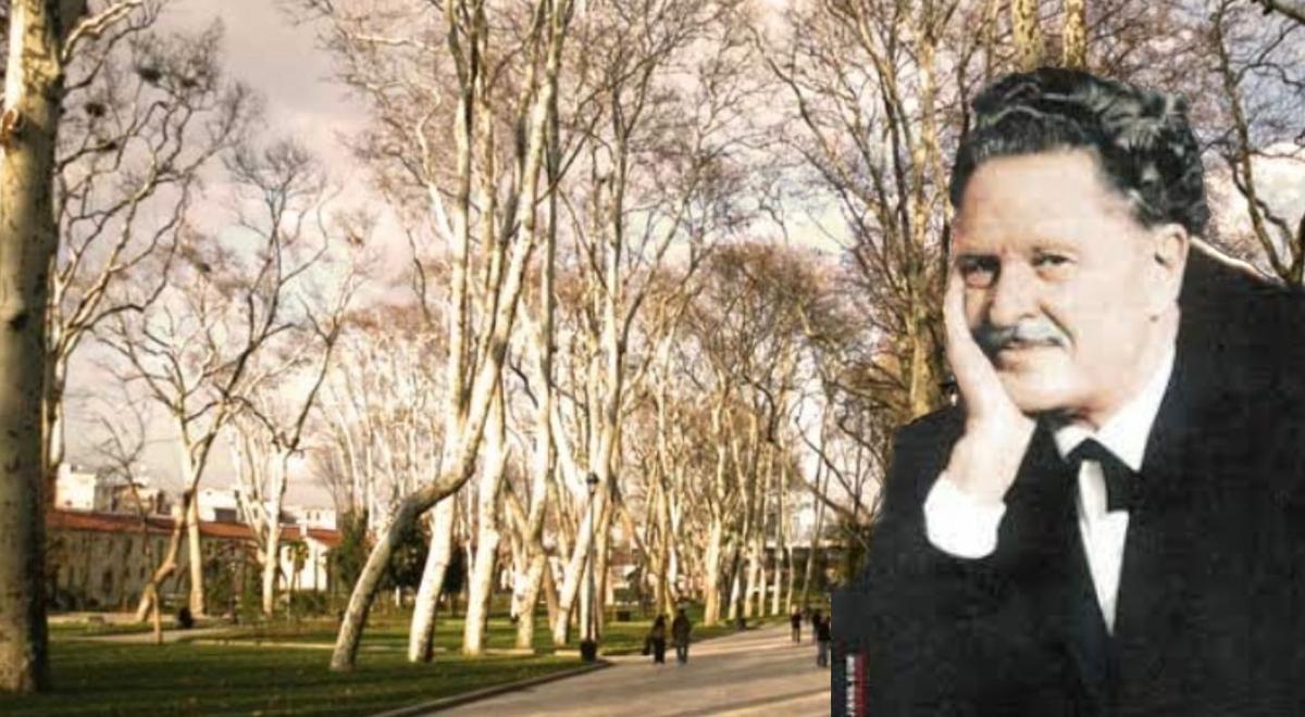 Gülhane Parkı’ndaki “Ceviz Ağacı”nın Hikayesi