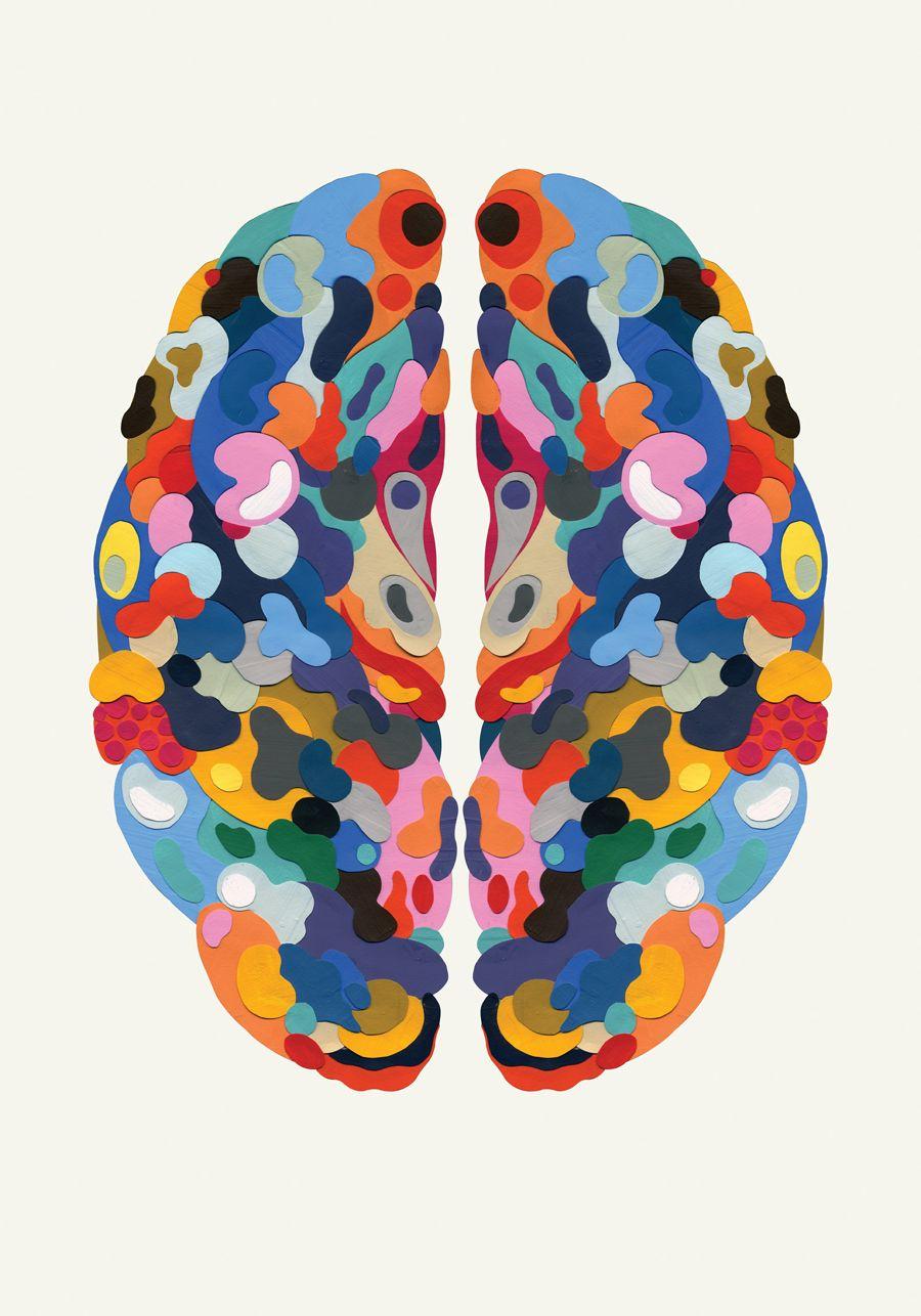 Evrimsel Psikoloji Nedir, Ne işe Yarar?