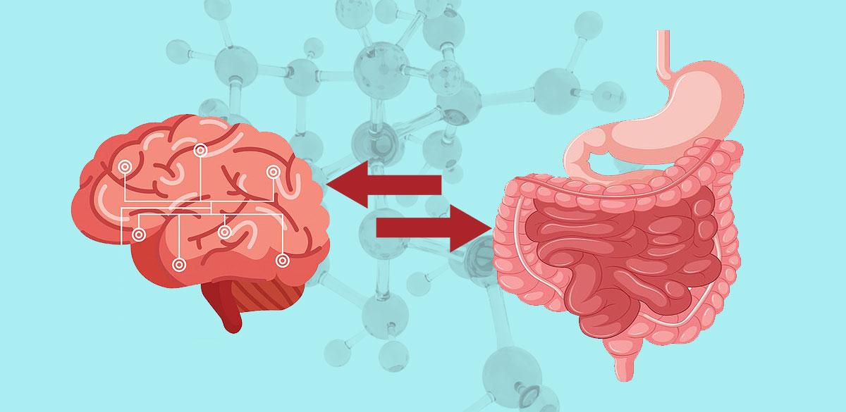 The Brain-Gut Connection