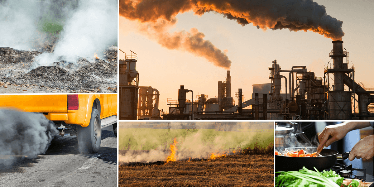 Yıkıcı Eylemler: Çevre Katliamı