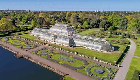 Reach a Peaceful Mind with the Royal Botanic Gardens in Kew!
