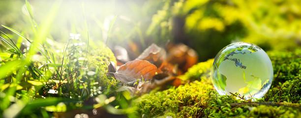 "Embracing Sustainability: A Path to a Greener Future"