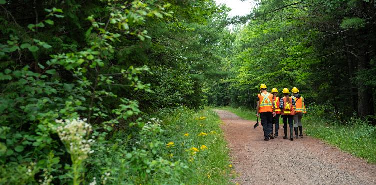 Climate Crisis and Solution Suggestions