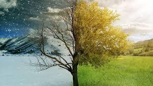 Yaz Kış Demeden...