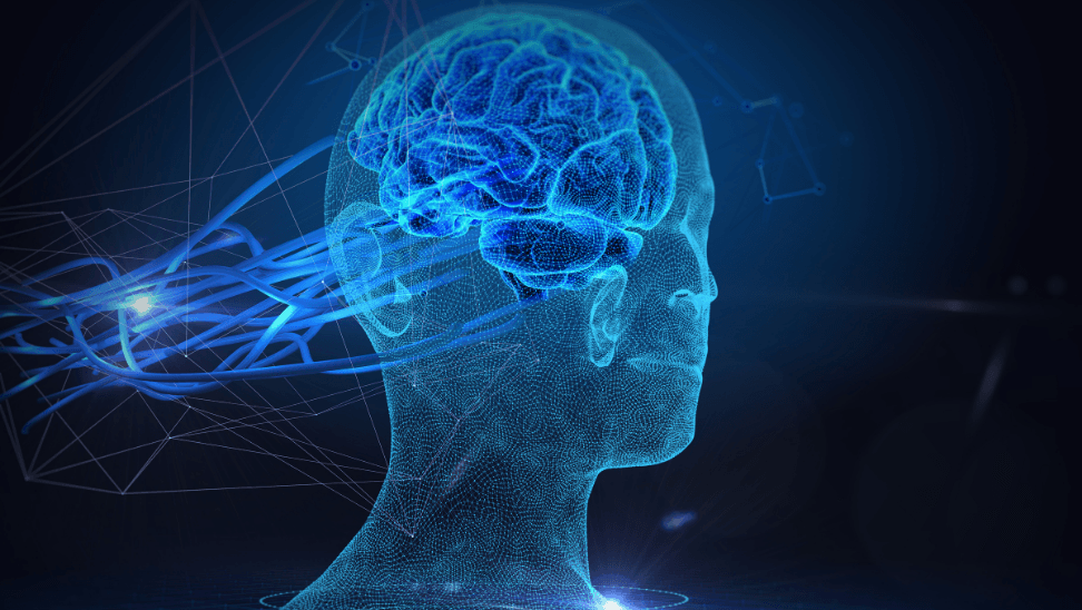 IQ Ve EQ Arasındaki Farklar Nelerdir? EQ Daha Mı Önemli?