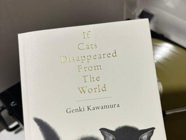 Life, Death and the Thin Line Between