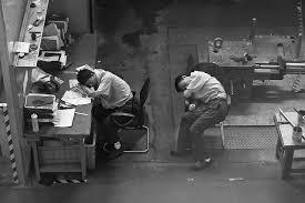 ''Tembellik Hakkı'' - At Hakları ve İnsan Hakları